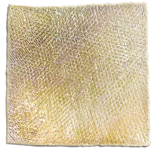 AmchoThick. TRI-LAYERED BARRIER PROTECTION