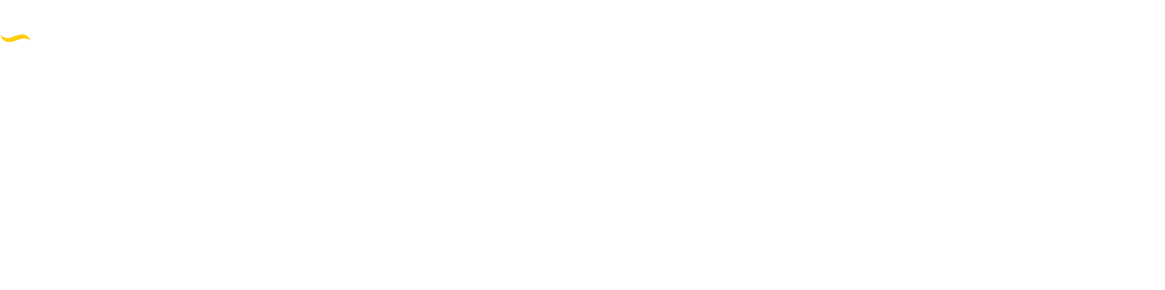CYGNUS Dual. Dual-layered, Dehydrated Amnion Allograft